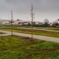smtstudio_areaverdegessate_005