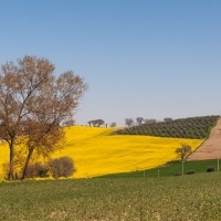 smtstudio_aziendaagricola_001