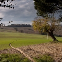 smtstudio_aziendaagricola_003