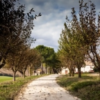 smtstudio_aziendaagricola_004