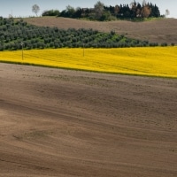 smtstudio_aziendaagricola_005