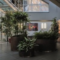 smtstudio_cpcinoxbasiano08_003